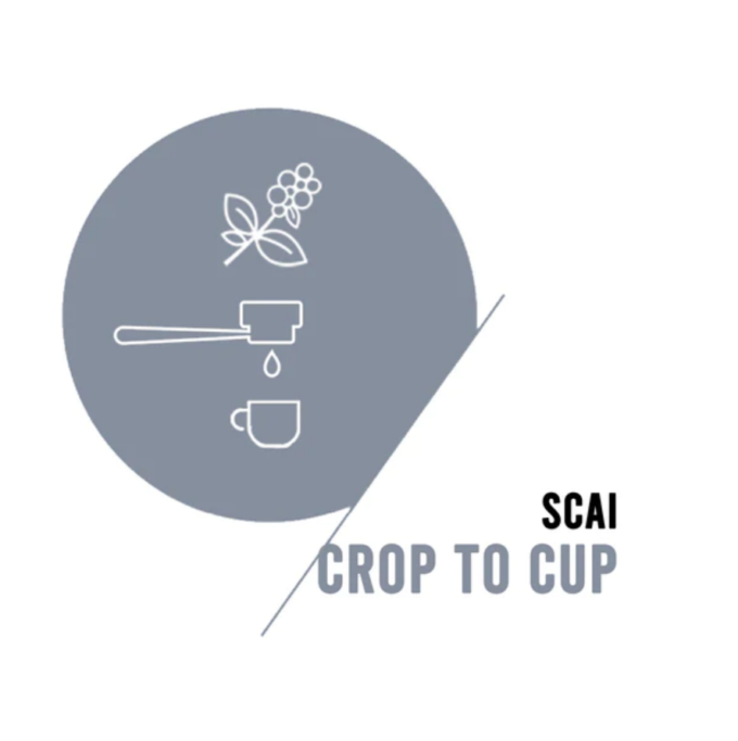 Crop to Cup Workshop by SCAI, coffee brewing skills, barista skills, roasting